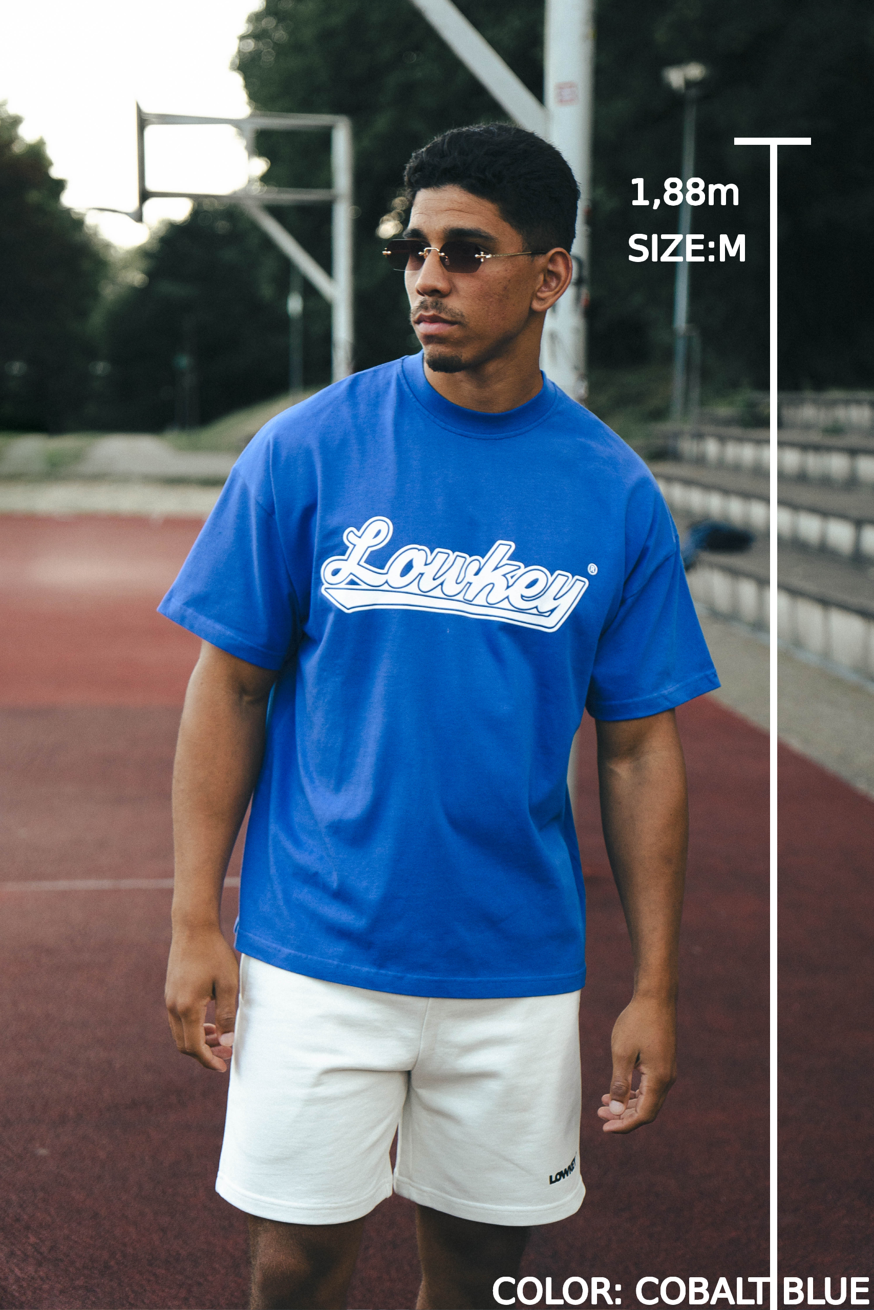 Lowkey® Heavy Oversized Summer 2023 Wavey Tee