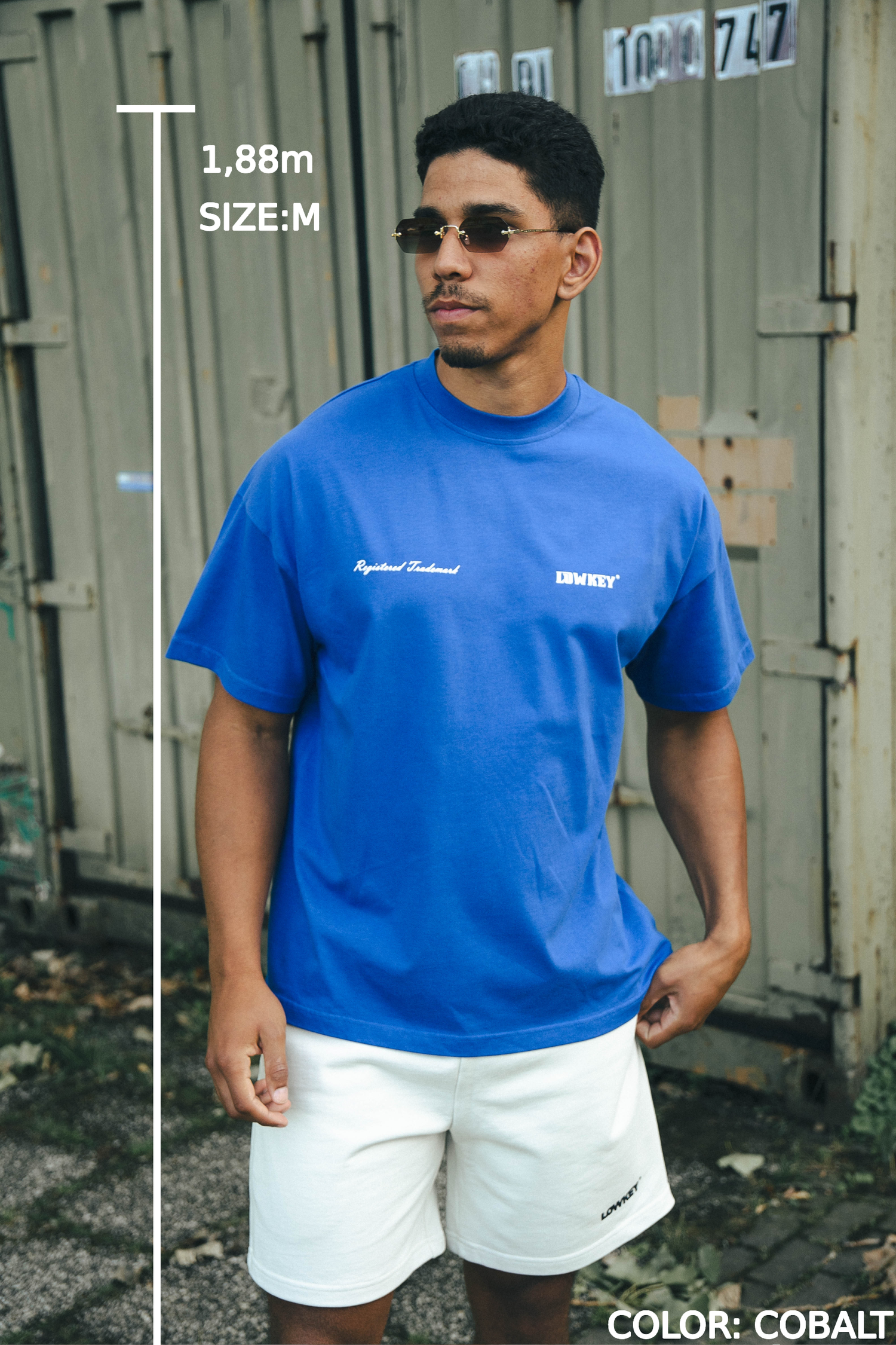 Lowkey® Heavy Oversized Summer 2023 Doubled Tee (Copy)