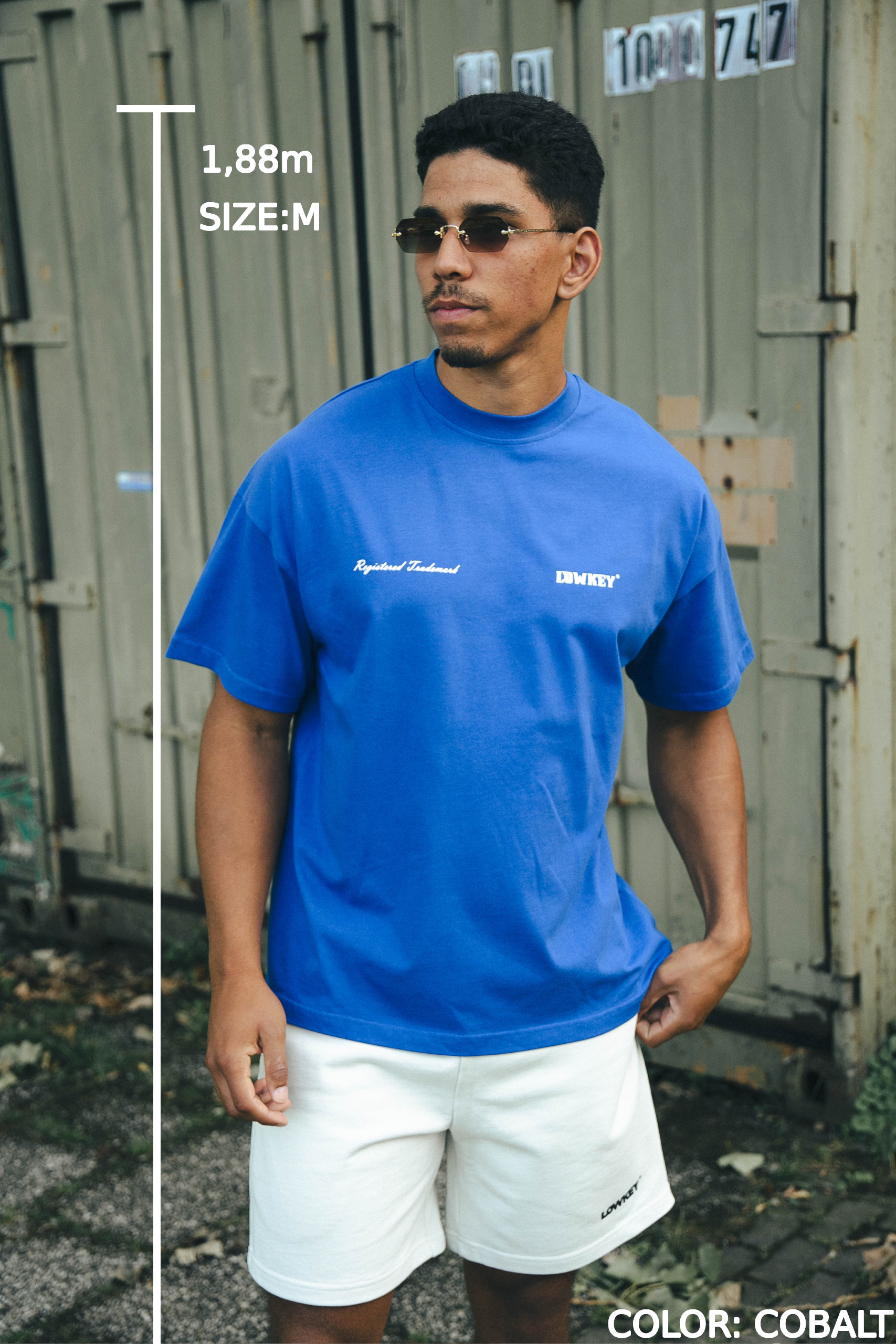 Lowkey® Heavy Oversized Summer 2023 Doubled Tee