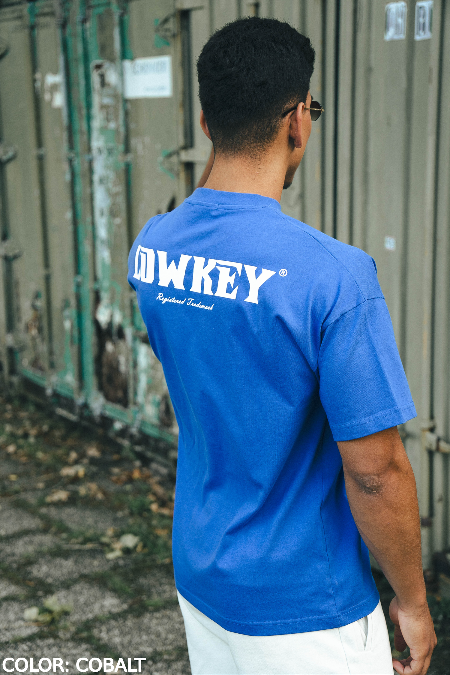 Lowkey® Heavy Oversized Summer 2023 Doubled Tee